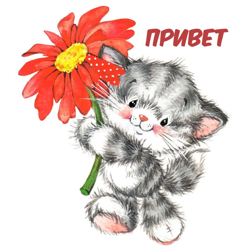 Привет