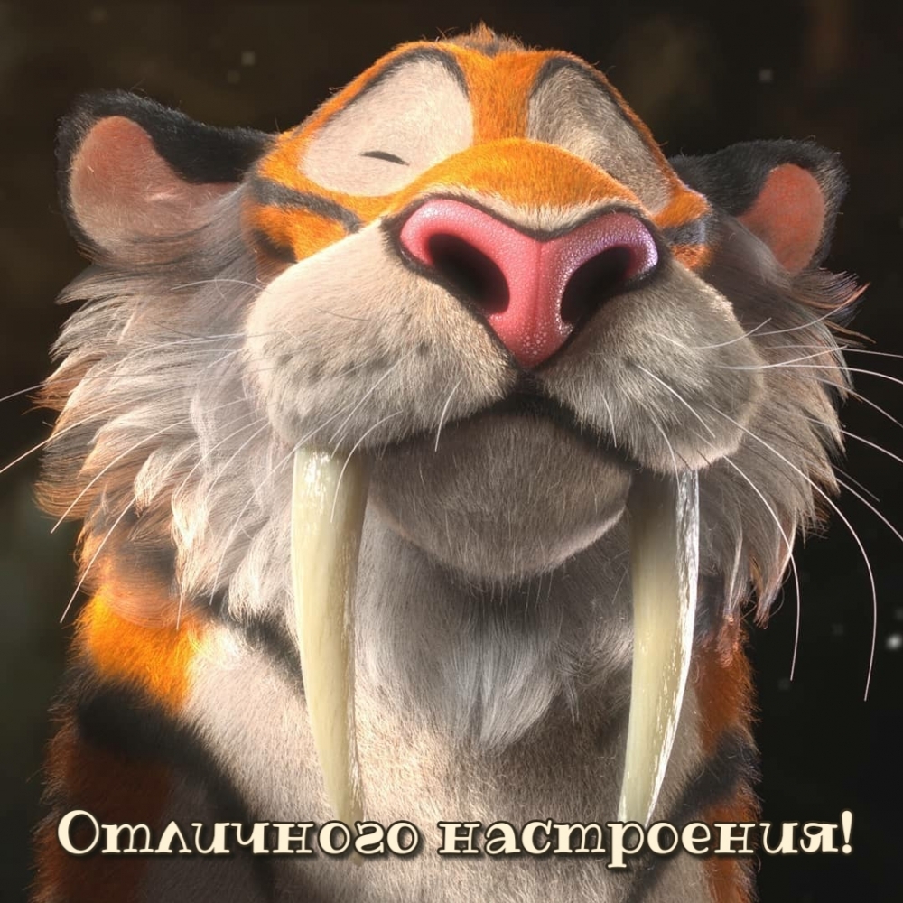 Отличного настроения!