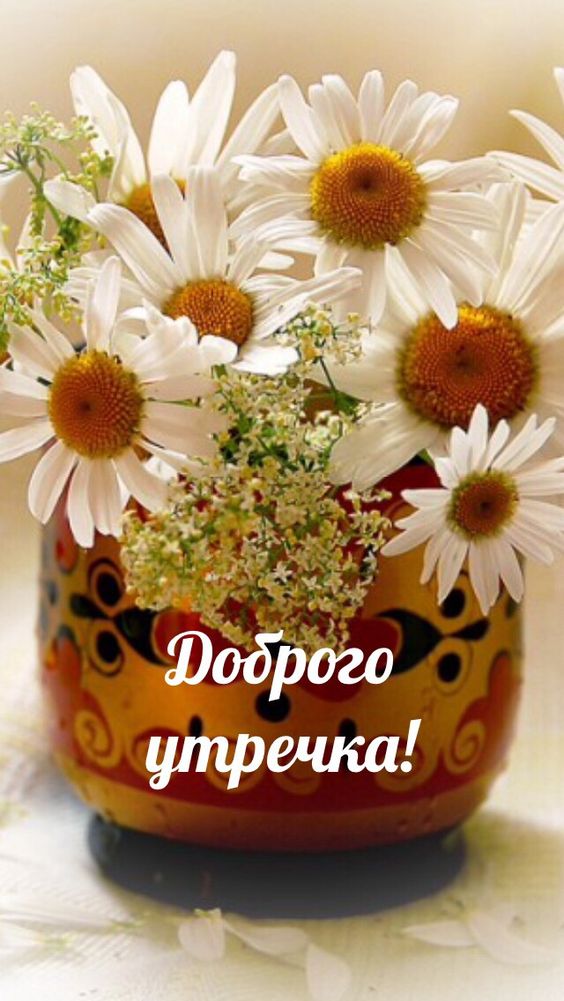 Доброго утречка!