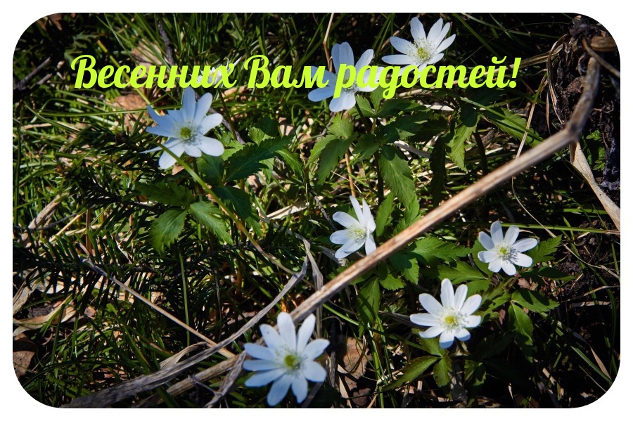 Весенних Вам радостей!