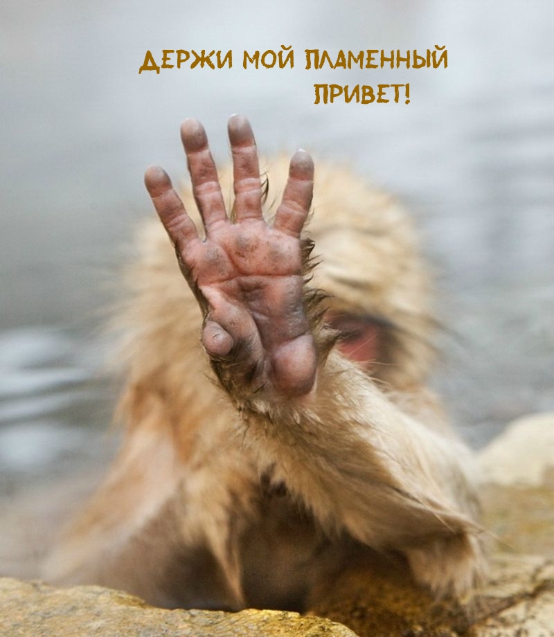 Держи мой пламенный привет!