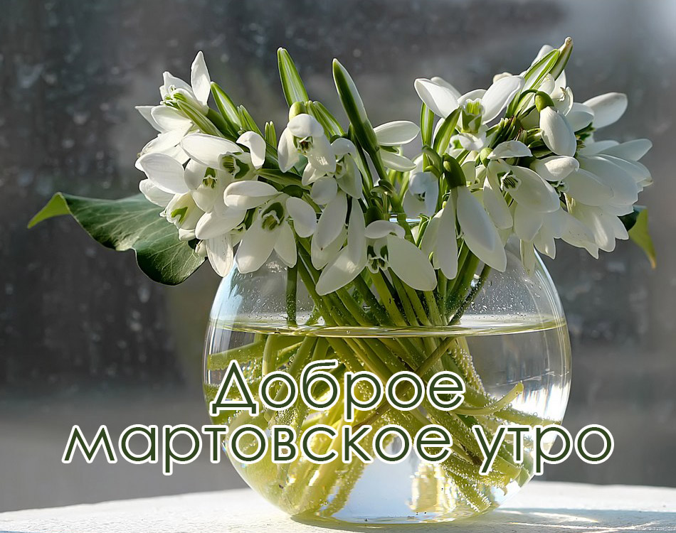 Доброе мартовское утро!
