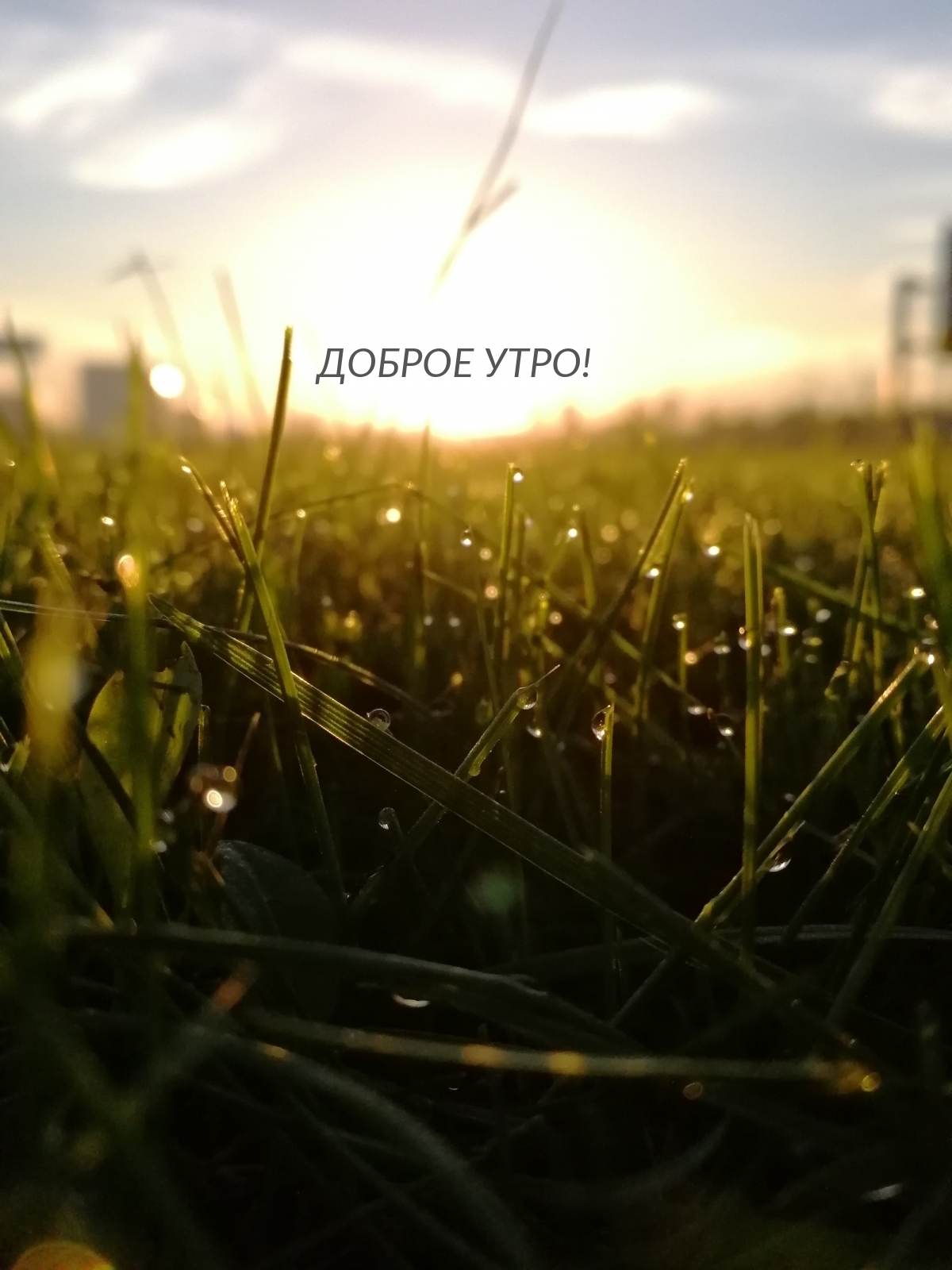 Доброе утро!