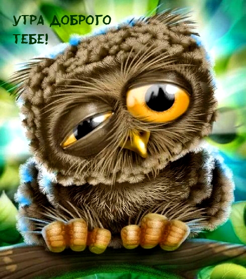 Утра доброго тебе!