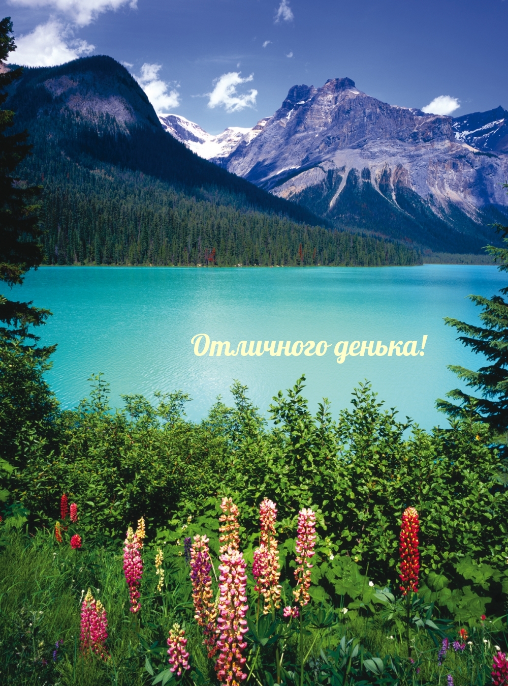 Отличного денька!