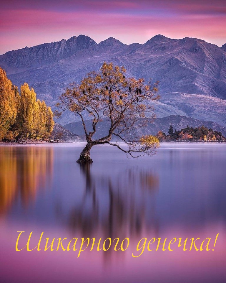 Шикарного денечка!