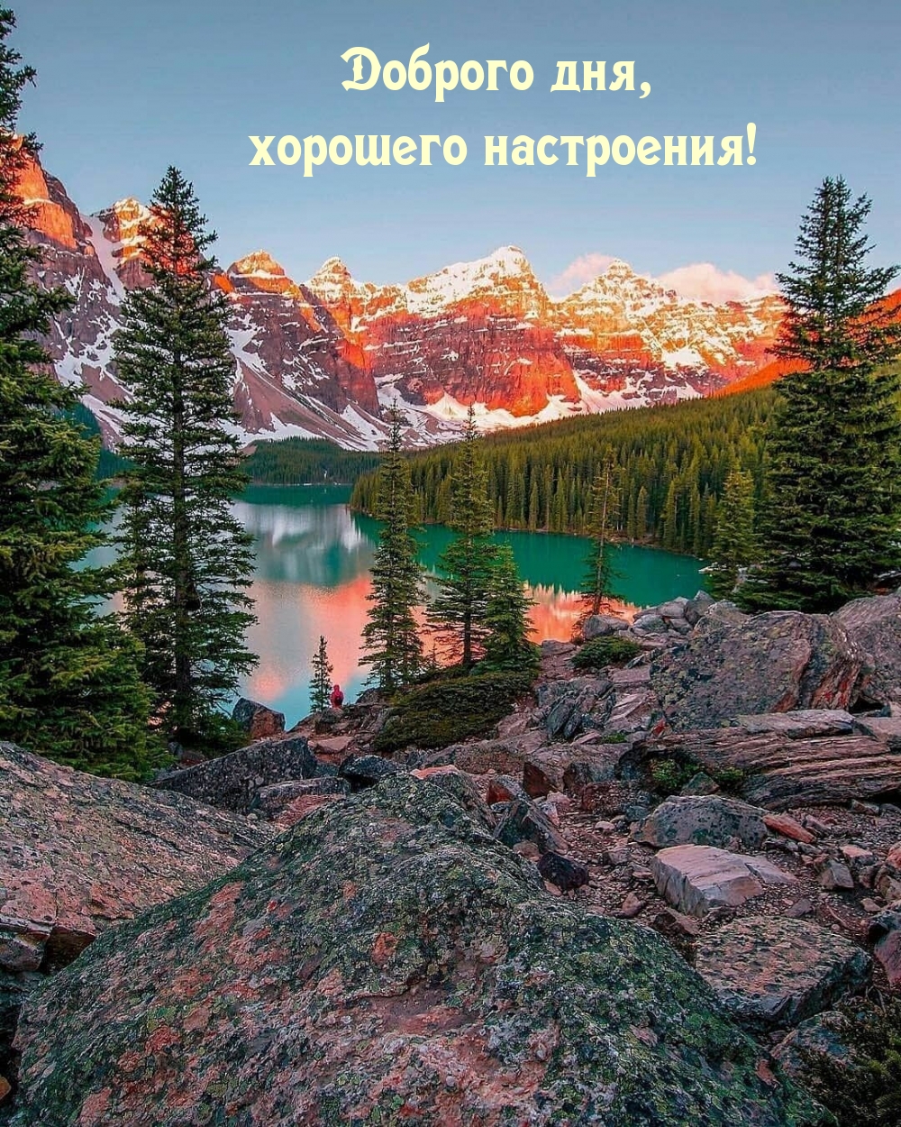 Доброго дня, хорошего настроения!