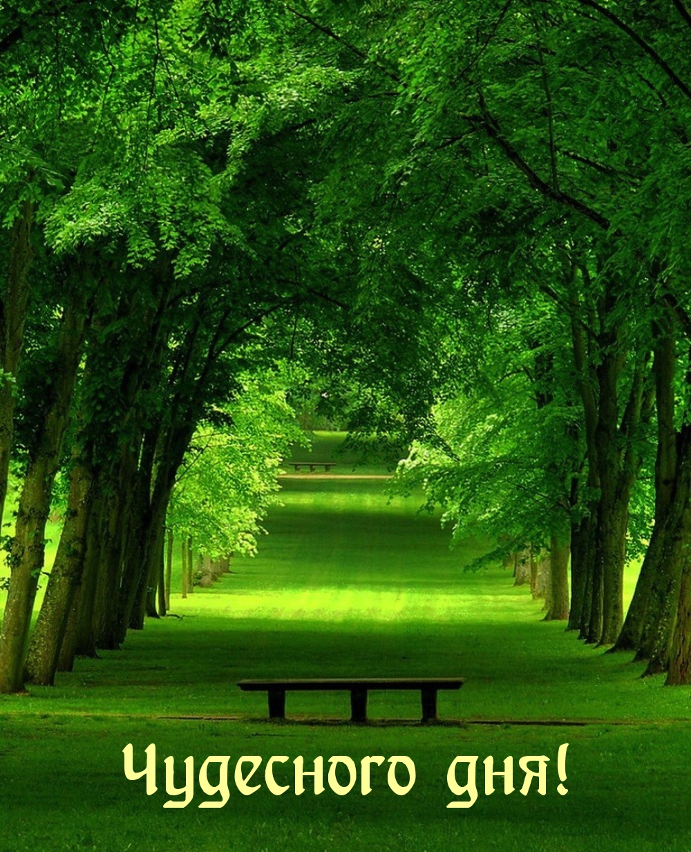 Картинка - Чудесного дня!.