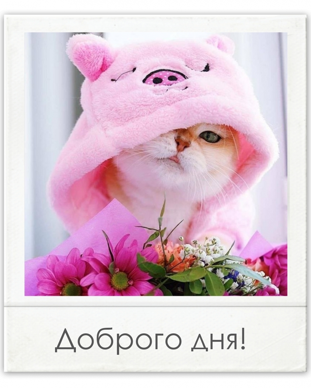Доброго дня!