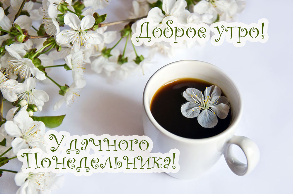 Доброе утро понедельника!