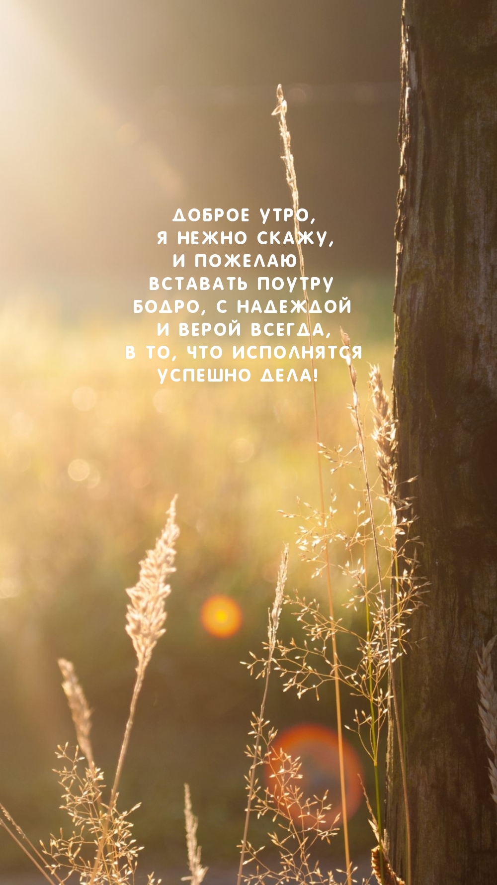 Доброе утро, я нежно скажу, и пожелаю вставать поутру