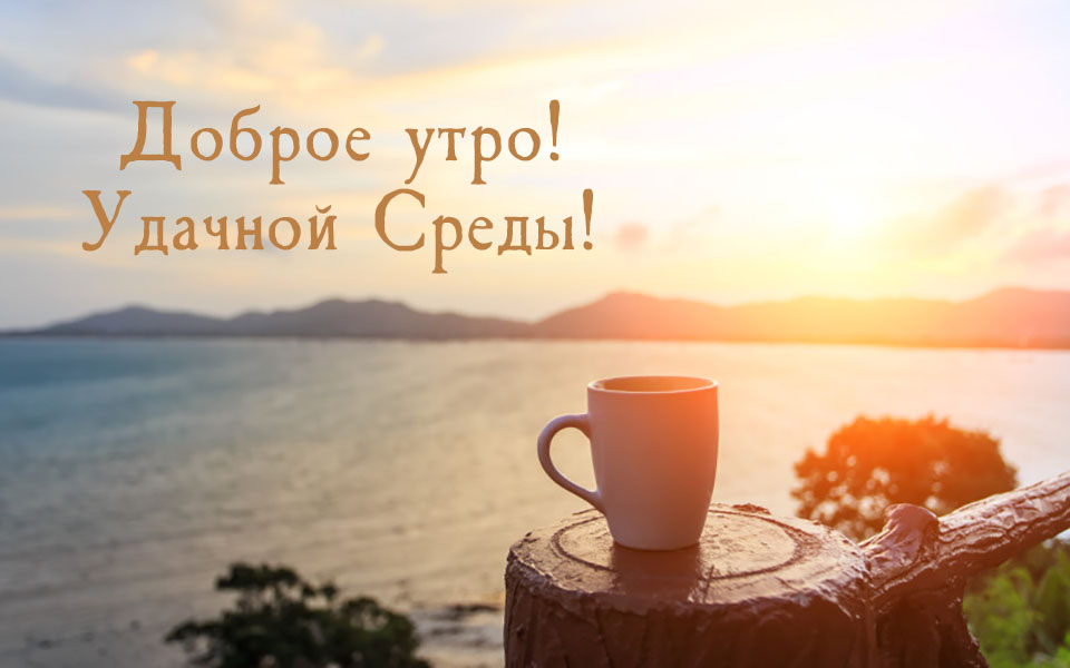 Удачной среды!