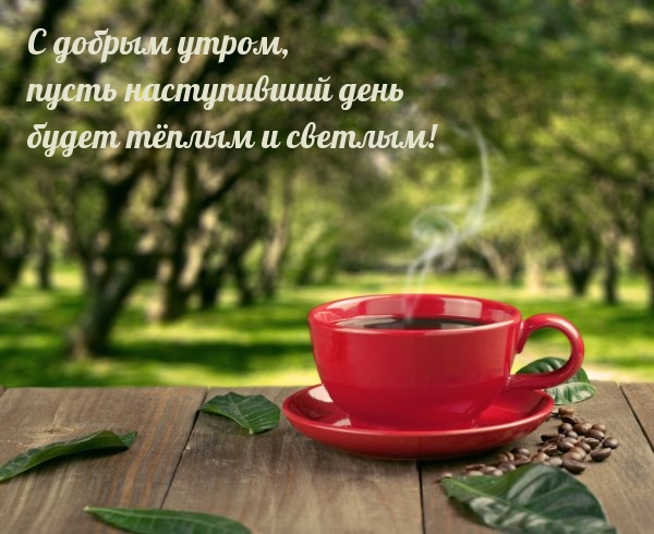 С добрым утром, пусть наступивший день будет тёплым и светлым!