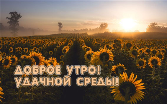 Доброе утро, удачной среды!