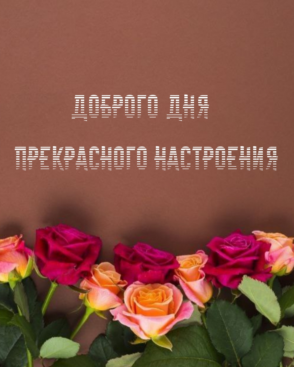 Доброго дня прекрасного настроения