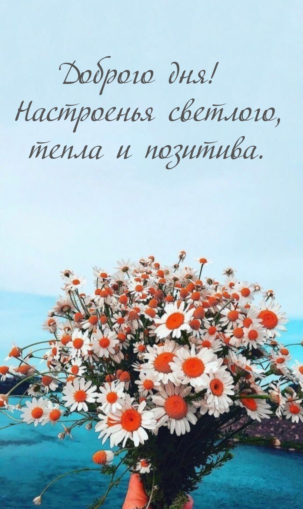 Доброго дня! Настроенья светлого, тепла и позитива.