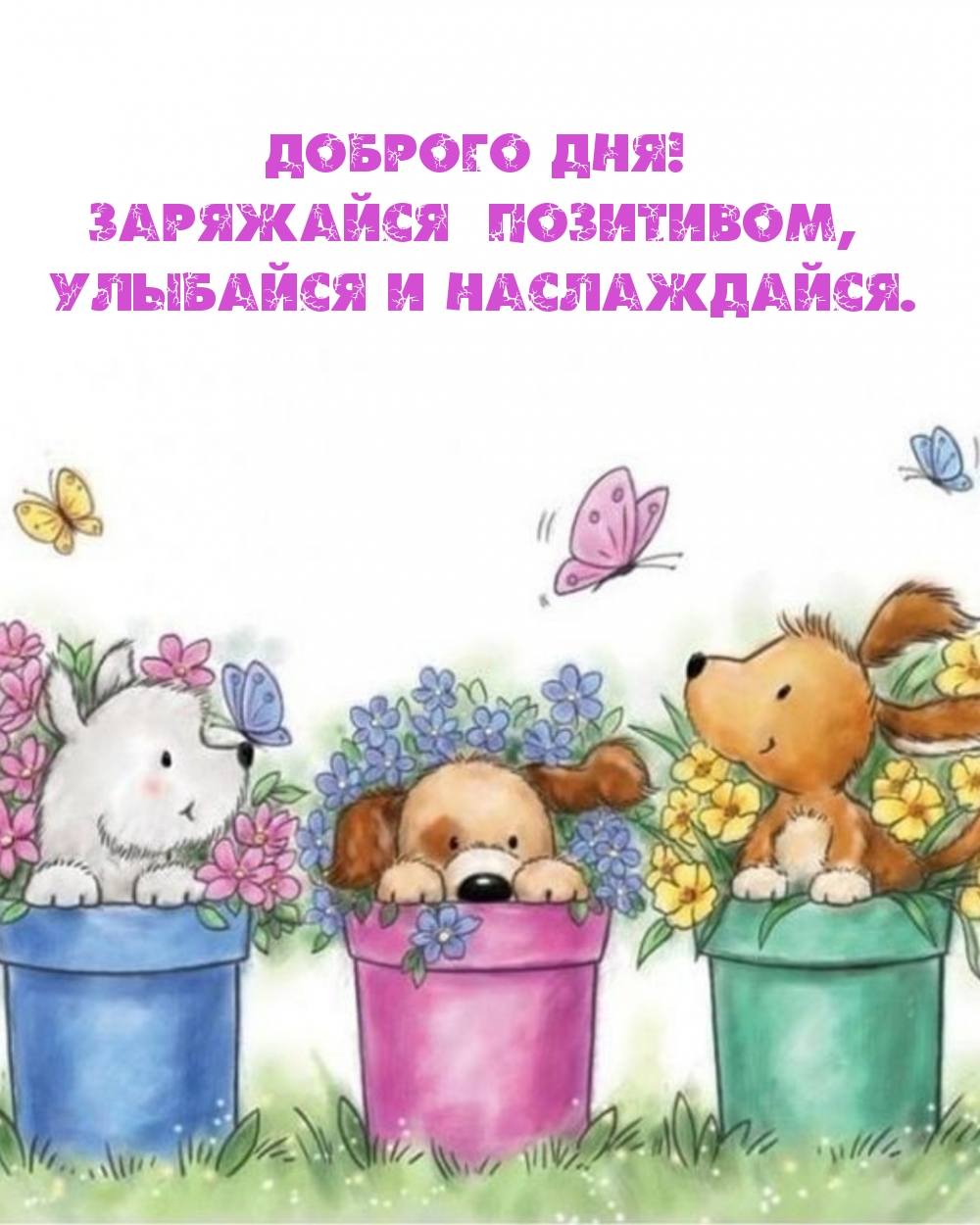 Доброго дня! Заряжайся позитивом