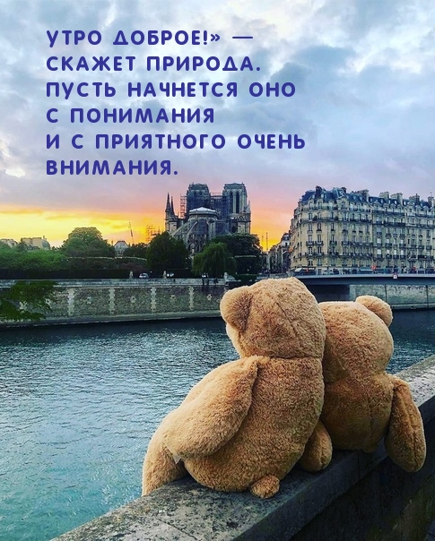 Утро доброе!» —  скажет природа.