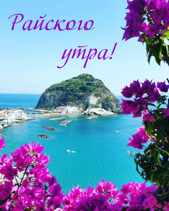 Райского утра!