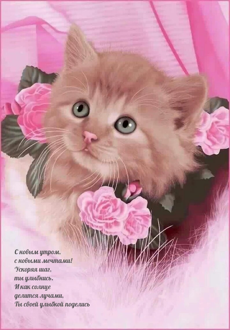 С новым утром,  с новыми мечтами!
