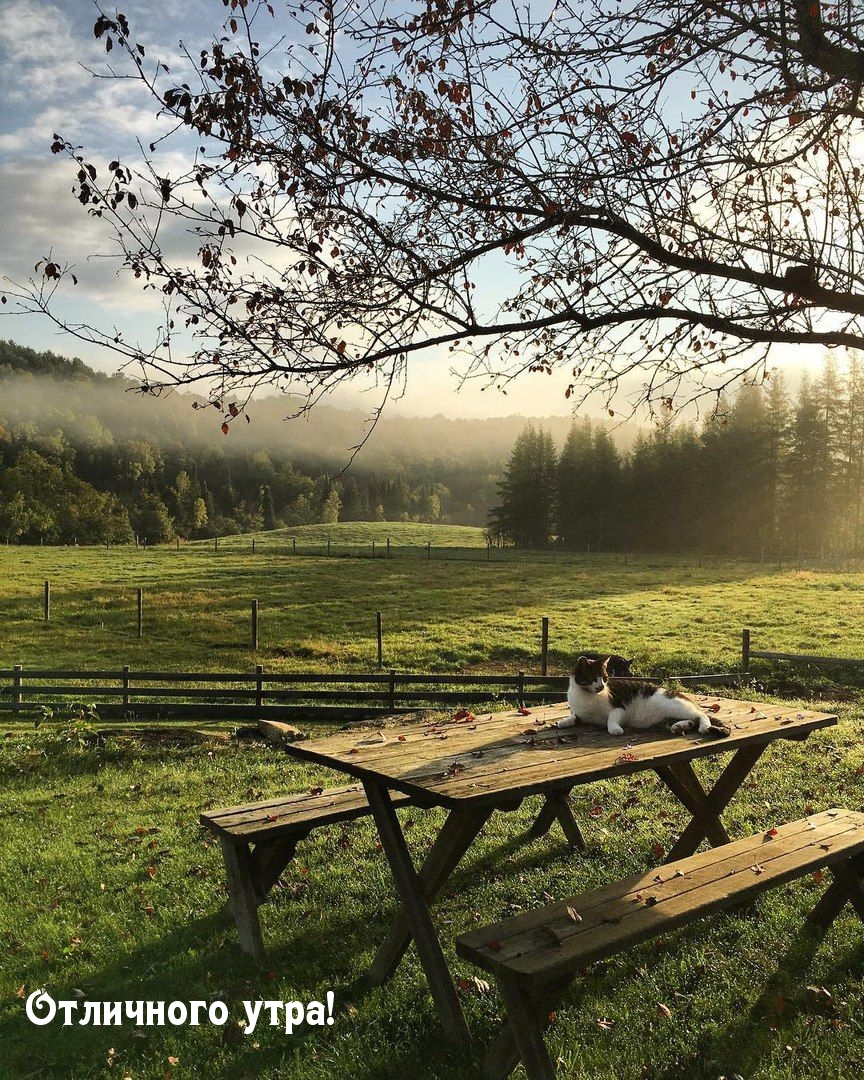 Отличного утра!