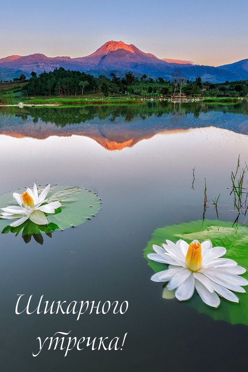 Шикарного утречка!