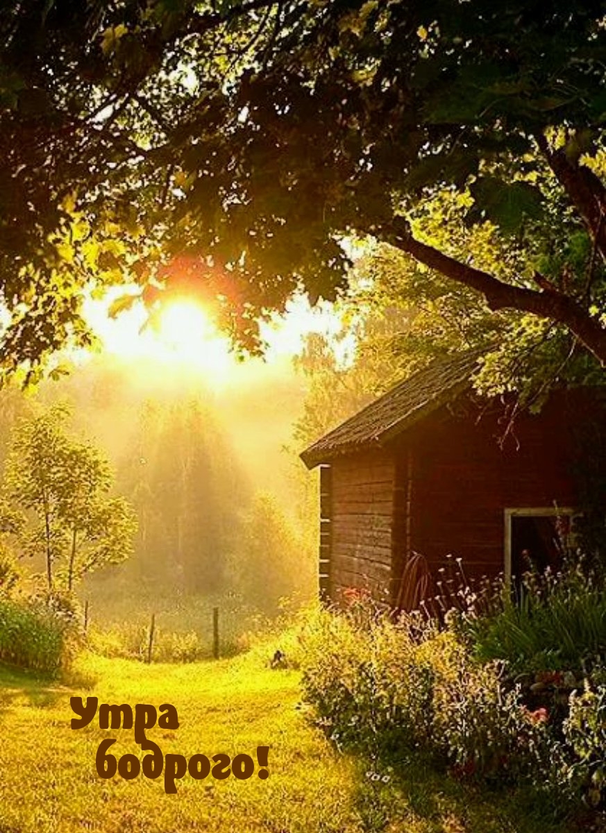 Утра бодрого!
