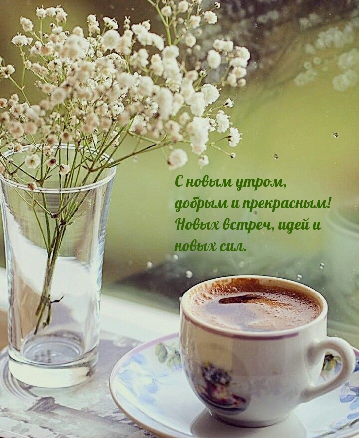 С новым утром, добрым и прекрасным!