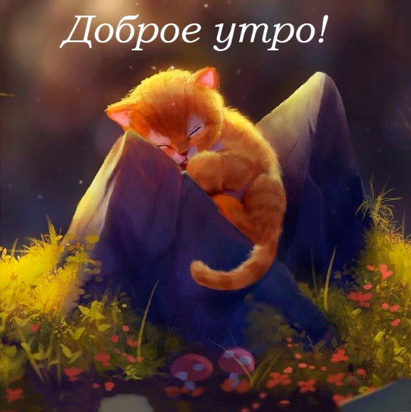 Доброе утро!