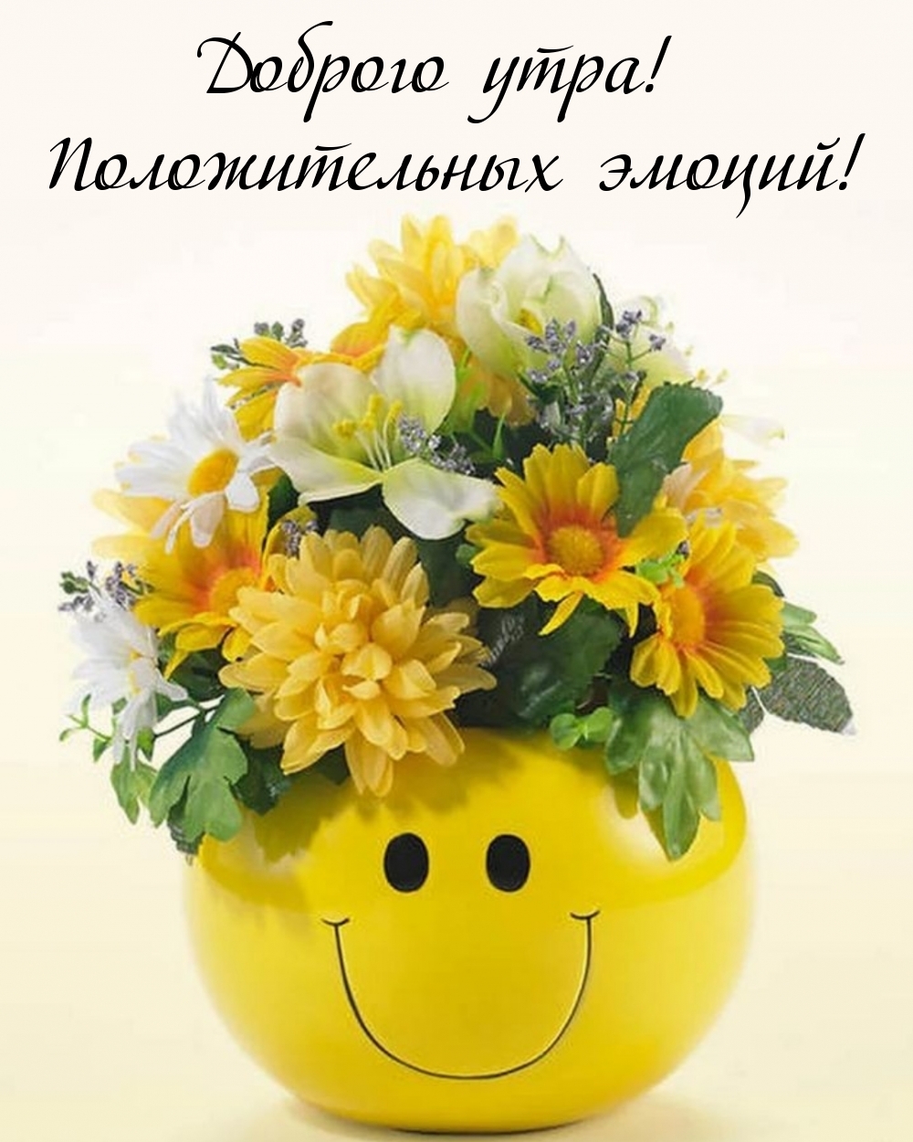 Доброго утра! Положительных эмоций!