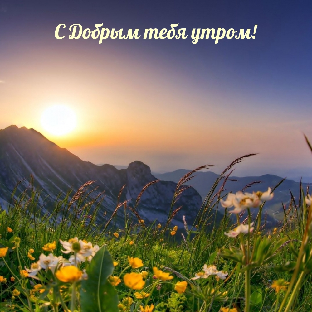 С Добрым тебя утром!