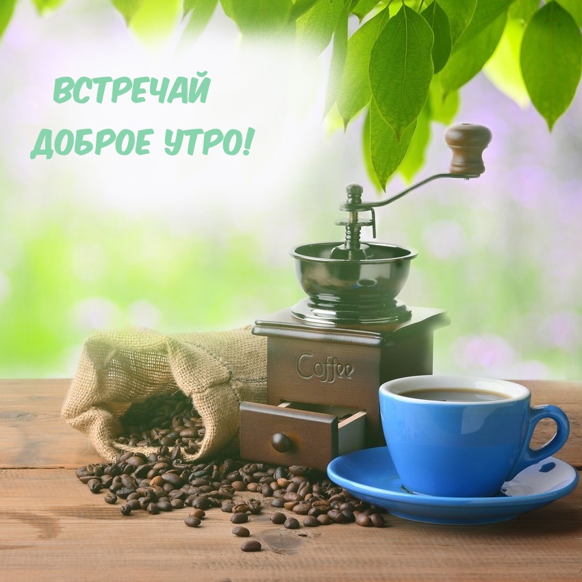 Встречай доброе утро!