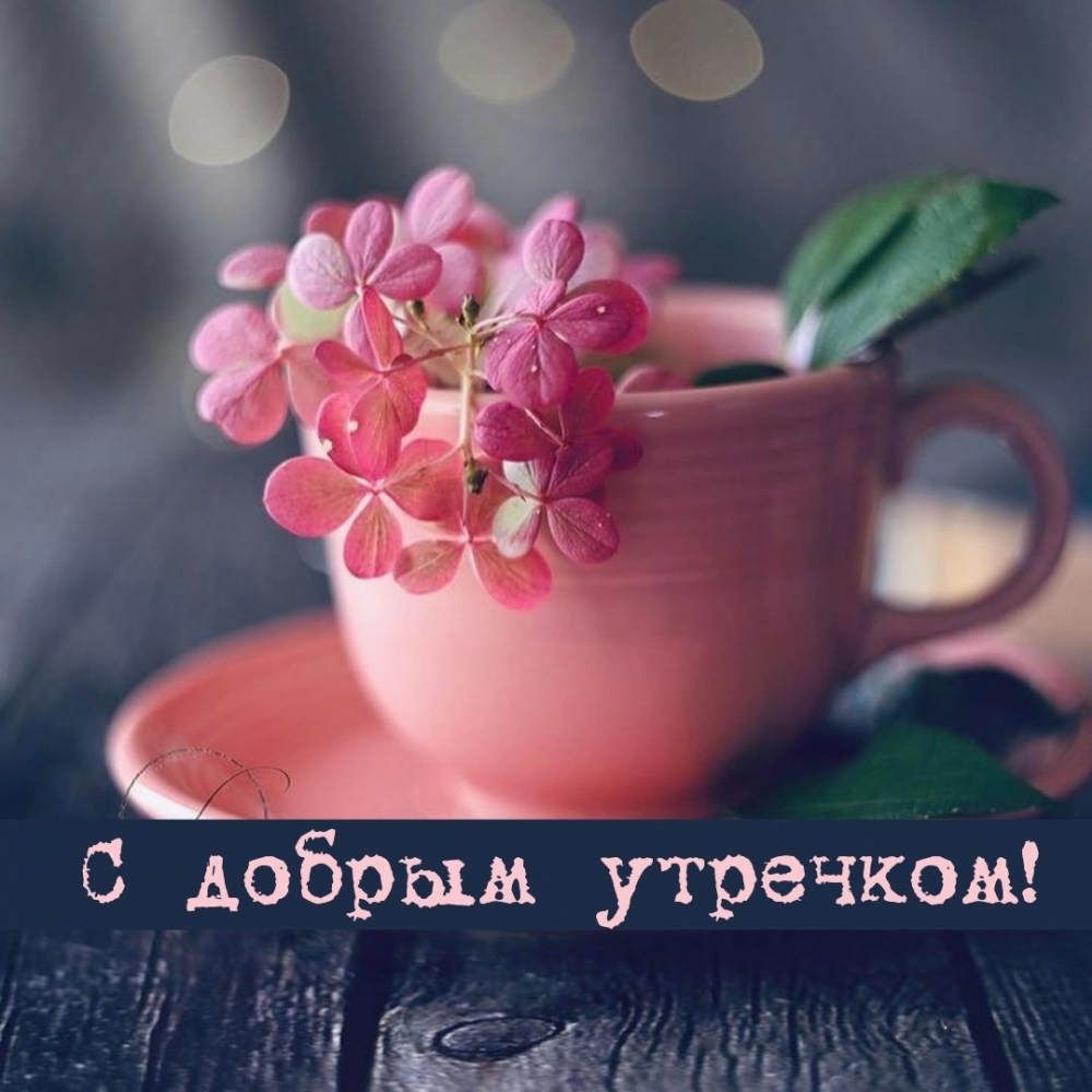 С добрым утречком!