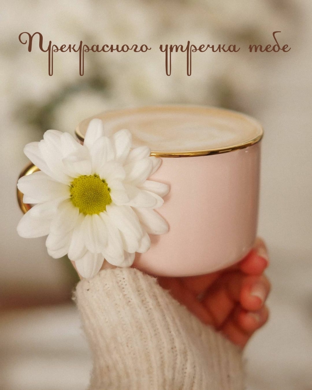 Прекрасного утречка тебе