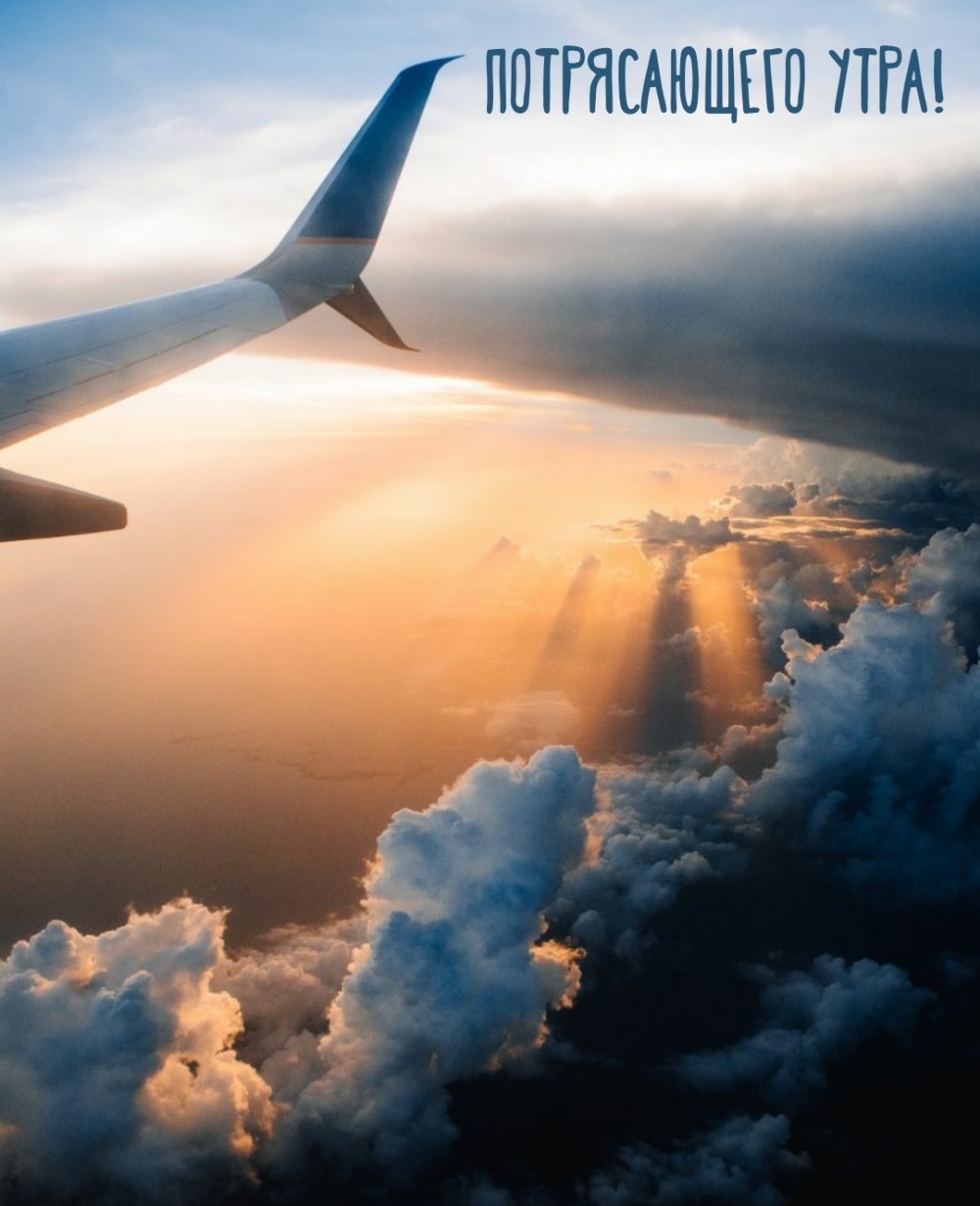Потрясающего утра!