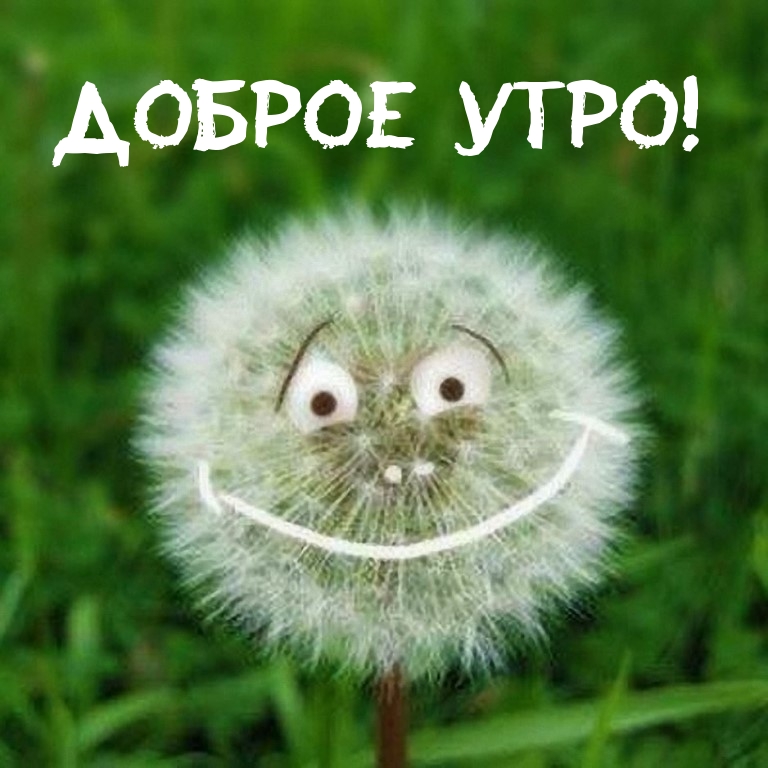 Доброе утро!