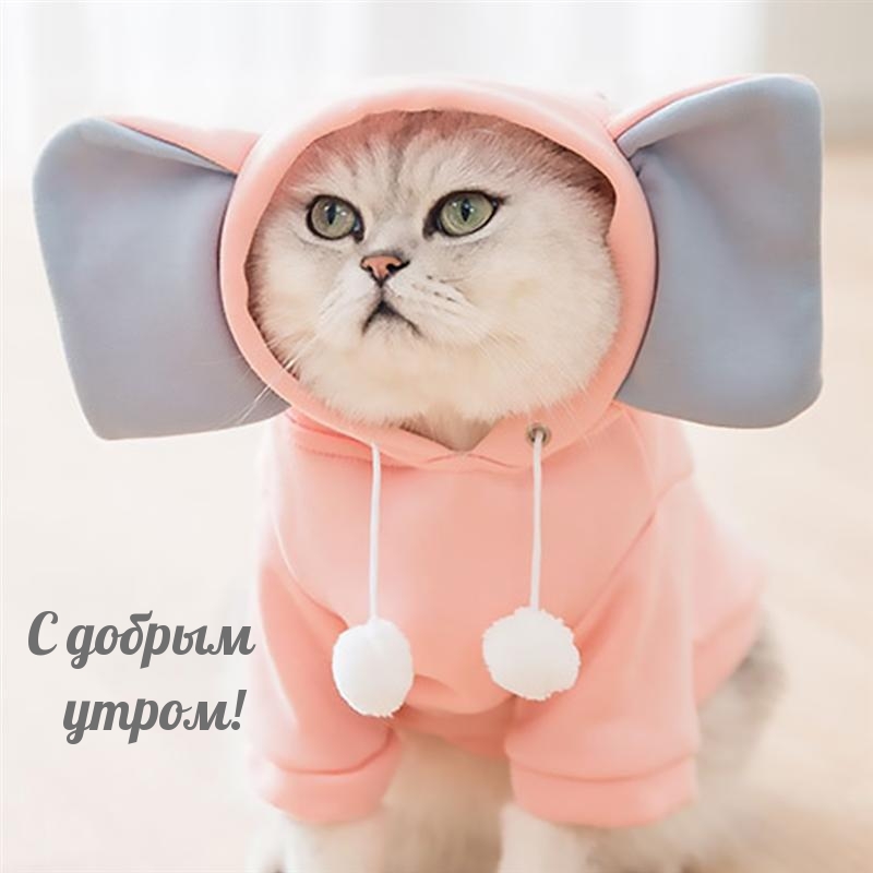 С добрым утром!