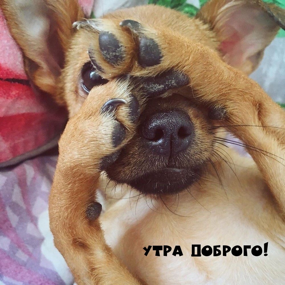 Утра доброго!