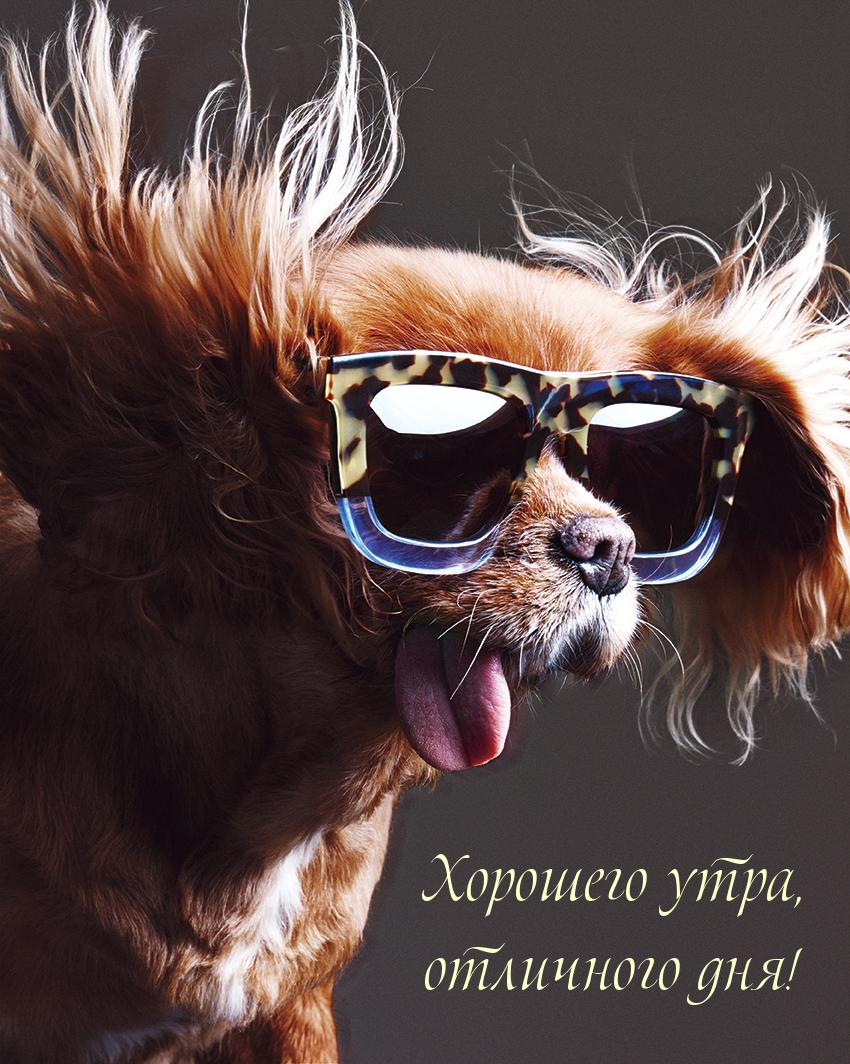Хорошего утра, отличного дня!