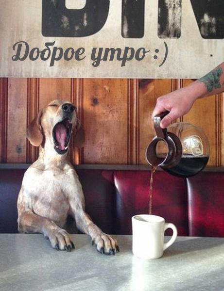 Доброе утро :)