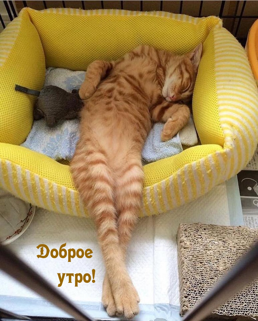 Доброе утро!