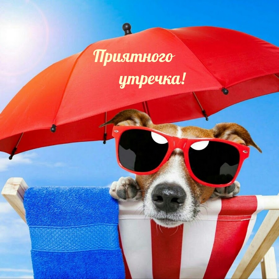Приятного утречка!
