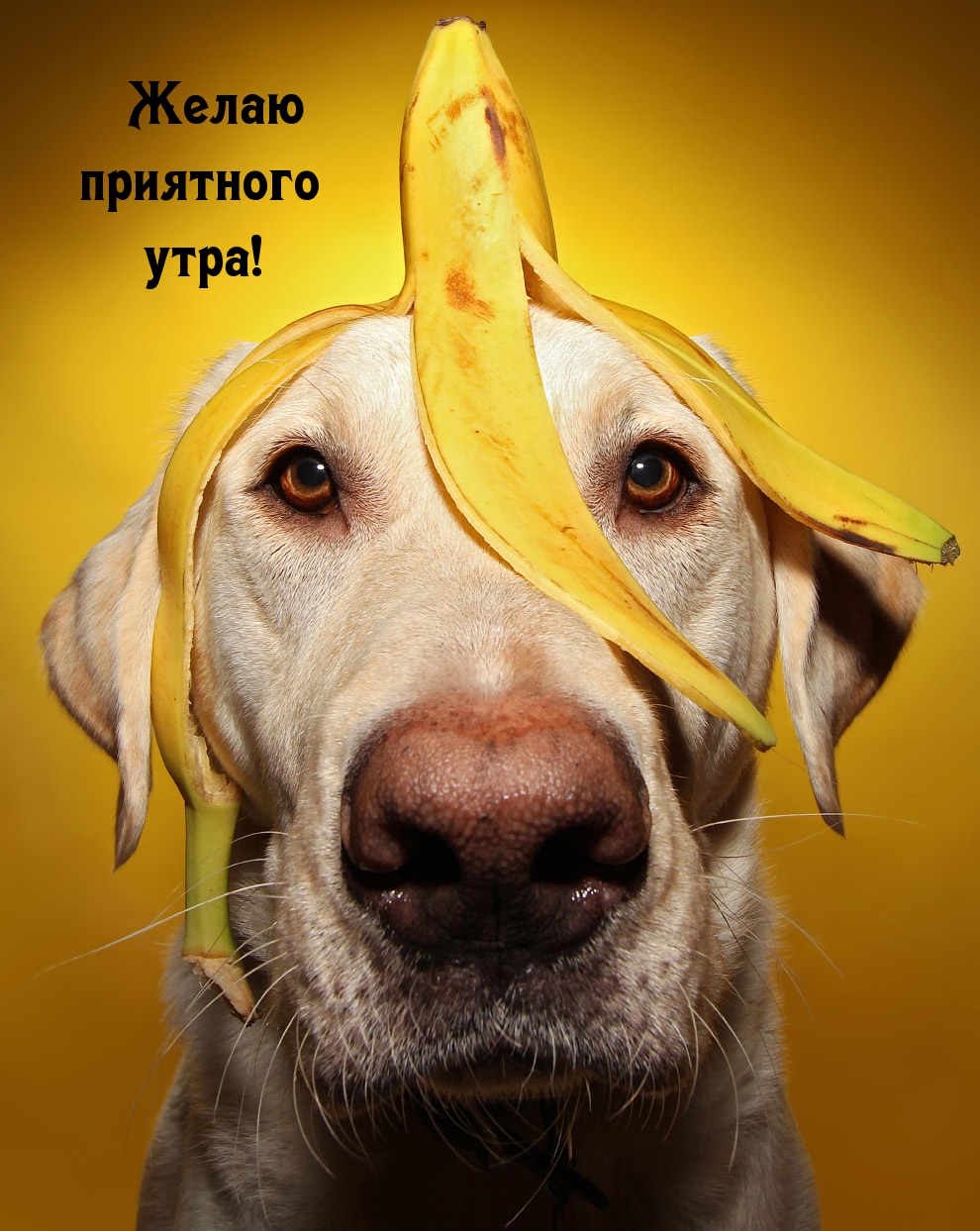 Желаю приятного утра!