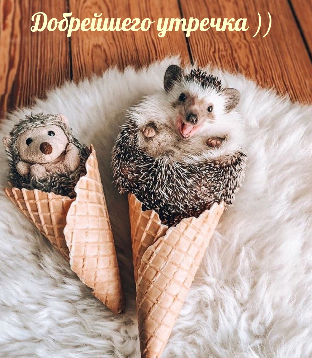 Добрейшего утречка ))