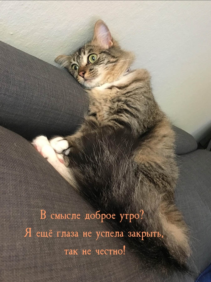В смысле доброе утро? Я ещё глаза не успела закрыть