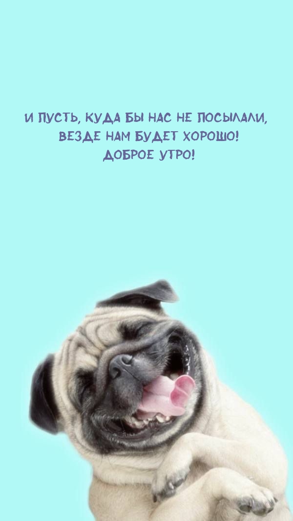 Доброе утро! Куда бы нас не посылали, везде нам будет хорошо!