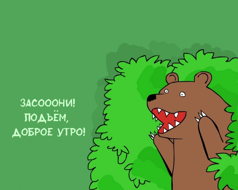 Засооони! Подъём, доброе утро!