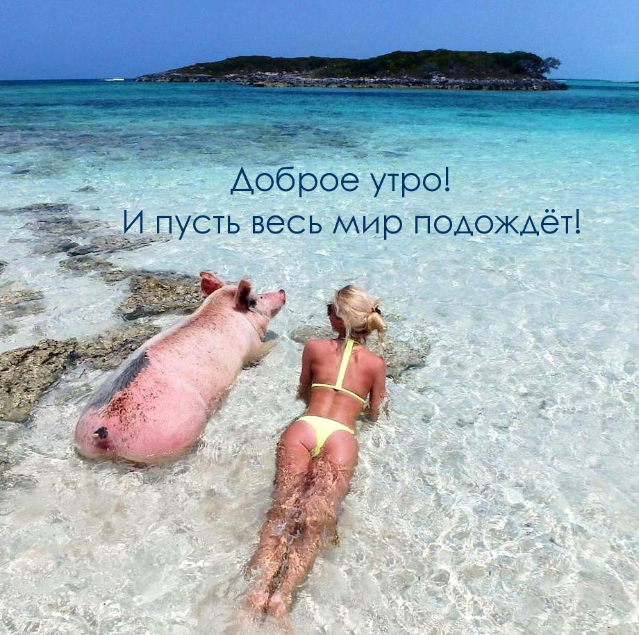 Доброе утро! И пусть весь мир подождёт!