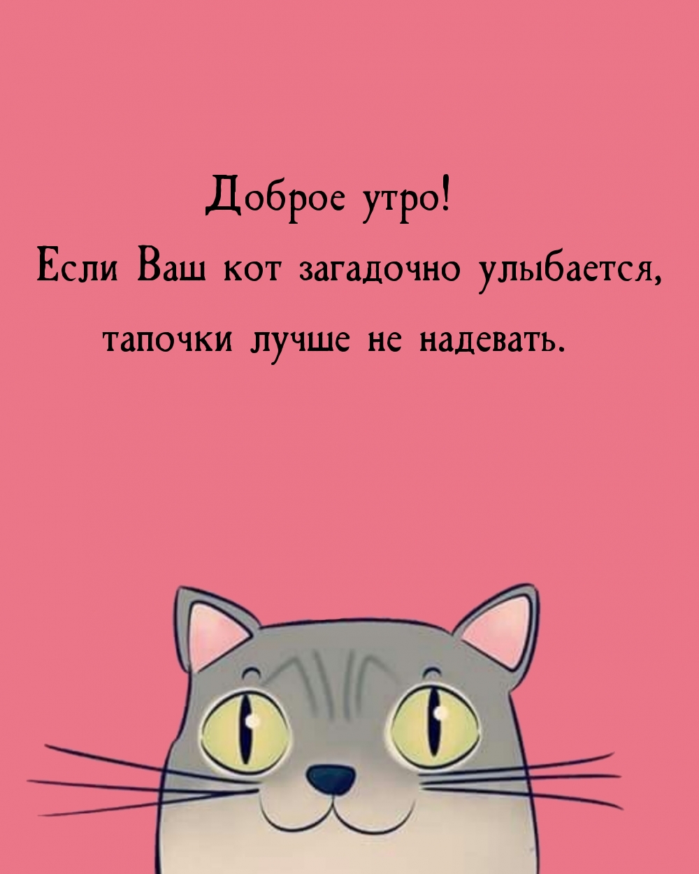 Доброе утро! Если Ваш кот загадочно улыбается…