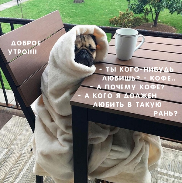 — Ты кого-нибудь любишь? — Кофе.. — А почему кофе?